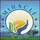 Miracle Nursing College, Mandsaur Miracle Nursing College, Mandsaur